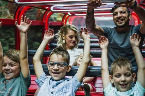 Blue Mountains Highlights, Wildlife Park And Scenic World Full Day Private Tour - Foster Accommodation 5