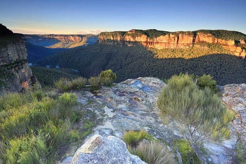 Blue Mountains Highlights, Wildlife Park And Scenic World Full Day Private Tour - Foster Accommodation 4