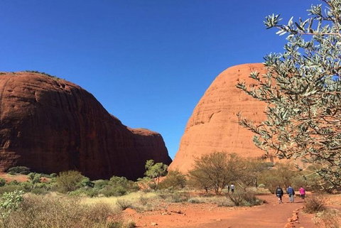 5-Hour Kata Tjuta Sunrise Tour From Ayers Rock With Breakfast - Foster Accommodation 2