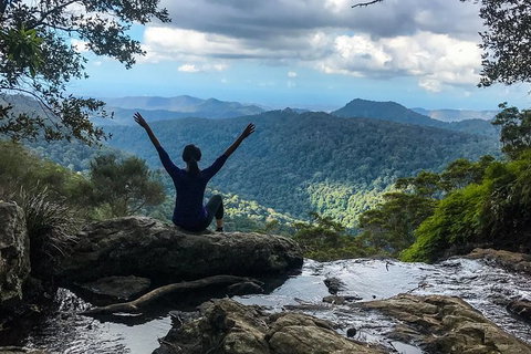 Springbrook And Mt Tamborine Adventure Tour - Bring The Kids!! - Foster Accommodation 6