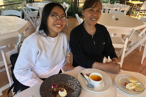 Springbrook And Mt Tamborine Adventure Tour - Bring The Kids!! - Foster Accommodation 8