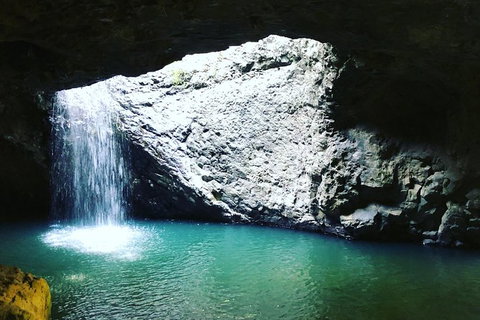 Springbrook And Mt Tamborine Adventure Tour - Bring The Kids!! - Foster Accommodation 2