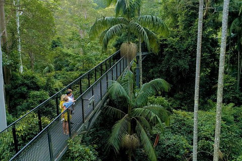 Springbrook And Mt Tamborine Adventure Tour - Bring The Kids!! - Foster Accommodation 4