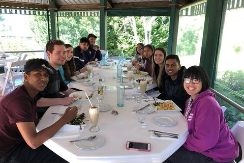 Springbrook And Mt Tamborine Adventure Tour - Bring The Kids!! - Foster Accommodation 3