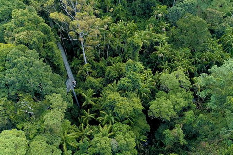 Springbrook And Mt Tamborine Adventure Tour - Bring The Kids!! - Foster Accommodation 10