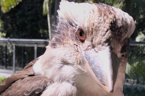 Springbrook And Mt Tamborine Adventure Tour - Bring The Kids!! - Foster Accommodation 5