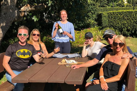 Springbrook And Mt Tamborine Adventure Tour - Bring The Kids!! - Foster Accommodation 9