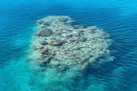 Lady Musgrave Day Trip From Bundaberg Including Snorkeling, Glass Bottom Tour And Guided Island Walk - Foster Accommodation 2