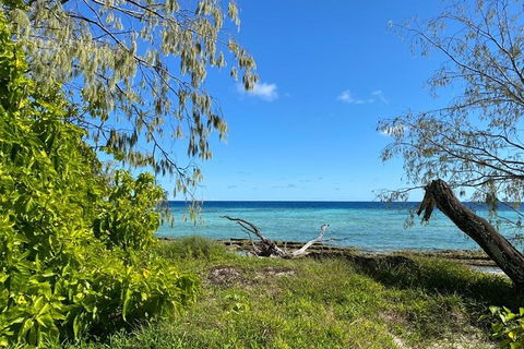 Lady Musgrave Day Trip From Bundaberg Including Snorkeling, Glass Bottom Tour And Guided Island Walk - Foster Accommodation 6