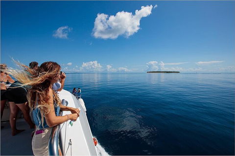 Lady Musgrave Day Trip From Bundaberg Including Snorkeling, Glass Bottom Tour And Guided Island Walk - Foster Accommodation 4