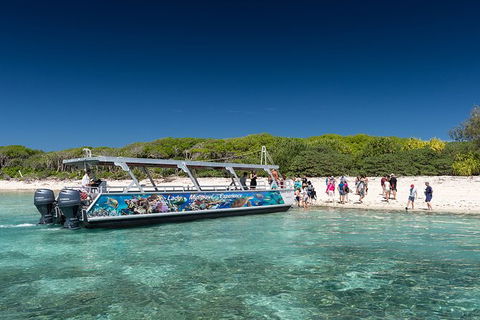 Lady Musgrave Day Trip From Bundaberg Including Snorkeling, Glass Bottom Tour And Guided Island Walk - Foster Accommodation 5