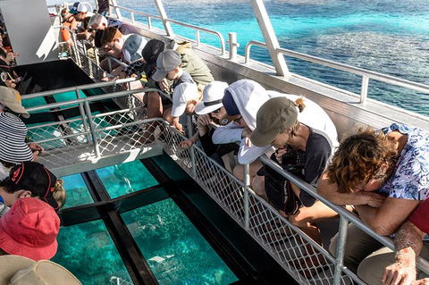 Lady Musgrave Day Trip From Bundaberg Including Snorkeling, Glass Bottom Tour And Guided Island Walk - Foster Accommodation 3