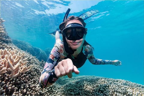 Lady Musgrave Day Trip From Bundaberg Including Snorkeling, Glass Bottom Tour And Guided Island Walk - Foster Accommodation 1