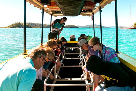 Airlie Beach Glass Bottom Boat Tour - Foster Accommodation 5