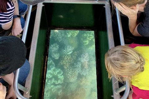 Airlie Beach Glass Bottom Boat Tour - Foster Accommodation 10