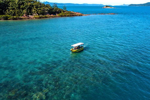 Airlie Beach Glass Bottom Boat Tour - Foster Accommodation 8