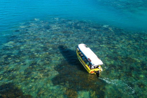 Airlie Beach Glass Bottom Boat Tour - Foster Accommodation 9