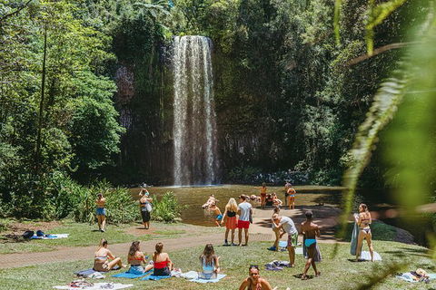 Atherton Tablelands Waterfalls And Rainforest Day Tour Departing Cairns - Foster Accommodation 4