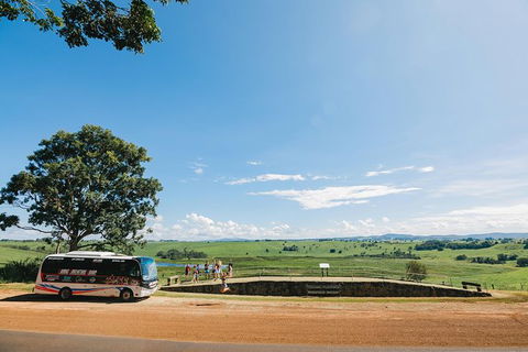 Atherton Tablelands Waterfalls And Rainforest Day Tour Departing Cairns - Foster Accommodation 9