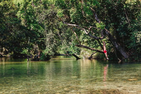 Atherton Tablelands Waterfalls And Rainforest Day Tour Departing Cairns - Foster Accommodation 3