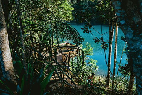 Atherton Tablelands Waterfalls And Rainforest Day Tour Departing Cairns - Foster Accommodation 5