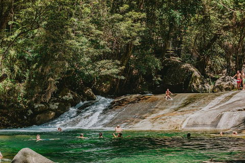 Atherton Tablelands Waterfalls And Rainforest Day Tour Departing Cairns - Foster Accommodation 8
