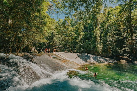 Atherton Tablelands Waterfalls And Rainforest Day Tour Departing Cairns - Foster Accommodation 0