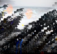 3-Day Gold Coast Rescue Diver Certification Course - Foster Accommodation