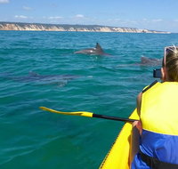 Kayak with Dolphins and 4WD Great Beach Drive Day Trip from Noosa - Foster Accommodation