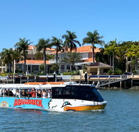 Aquaduck Sunshine Coast - Foster Accommodation