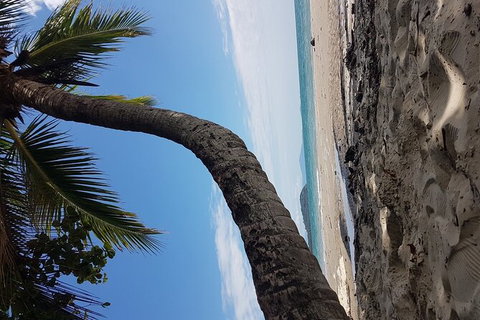 Airport Transfers Between Cairns Airport And Cairns City - Foster Accommodation 4