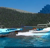 Private Standard Charter Experience in Whitsundays - Foster Accommodation