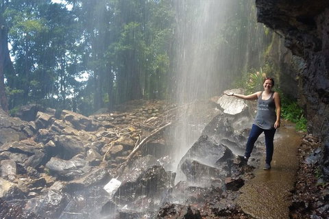 Small Group Tour (Max 6) Gold Coast Super 7 Waterfalls Tour: Springbrook - Foster Accommodation 1