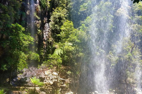 Small Group Tour (Max 6) Gold Coast Super 7 Waterfalls Tour: Springbrook - Foster Accommodation 5