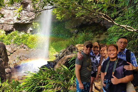 Small Group Tour (Max 6) Gold Coast Super 7 Waterfalls Tour: Springbrook - Foster Accommodation 2