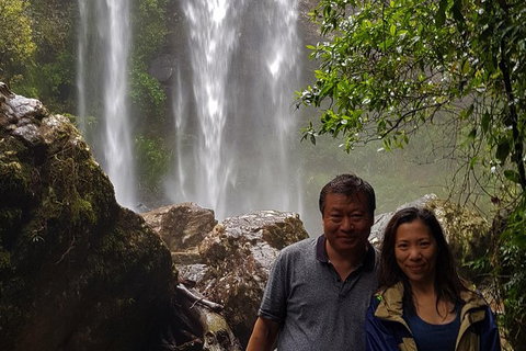 Small Group Tour (Max 6) Gold Coast Super 7 Waterfalls Tour: Springbrook - Foster Accommodation 6