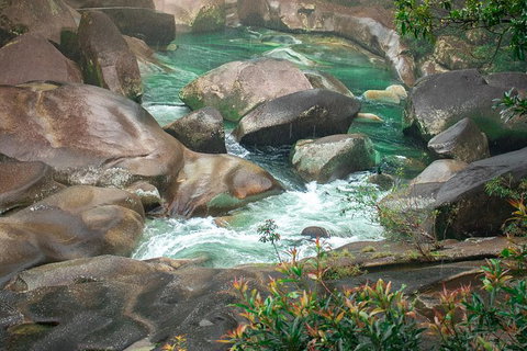 Wooroonooran National Park Rainforest And Wildlife Day Trip From Cairns - Foster Accommodation 3