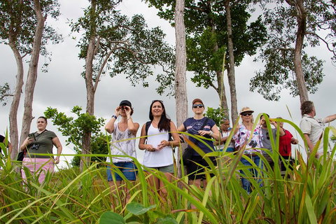 Wooroonooran National Park Rainforest And Wildlife Day Trip From Cairns - Foster Accommodation 6