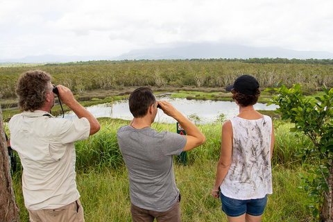Wooroonooran National Park Rainforest And Wildlife Day Trip From Cairns - Foster Accommodation 4