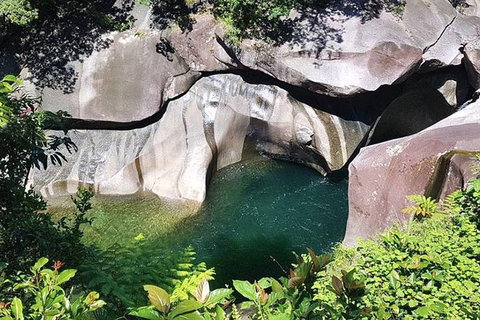 Wooroonooran National Park Rainforest And Wildlife Day Trip From Cairns - Foster Accommodation 5