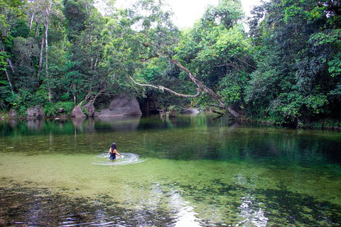 Wooroonooran National Park Rainforest And Wildlife Day Trip From Cairns - Foster Accommodation 8
