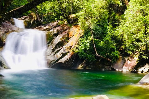 Wooroonooran National Park Rainforest And Wildlife Day Trip From Cairns - Foster Accommodation 0