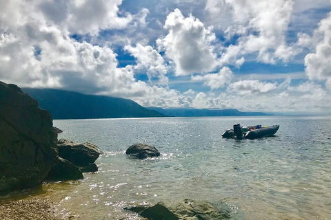 Exclusive Double Island Boat Tours From Palm Cove - Foster Accommodation 0
