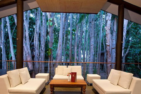 Airport Transfer - Cairns Airport To Palm Cove, Kewarra & Trinity Beaches - Foster Accommodation 2