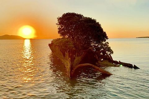 Aquascene Magnetic Island Sunset & Shipwreck Tour - Foster Accommodation 3