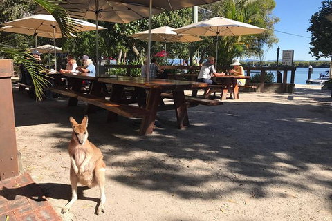 South Stradbroke Island Safari Tour By Jet Ski - Foster Accommodation 5