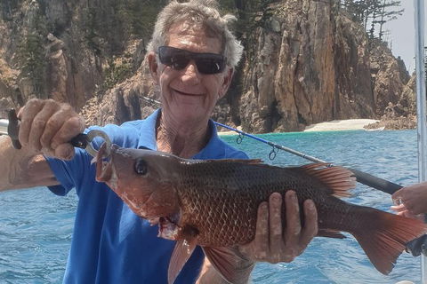 Adventure Fishing Combo Day - Fish, Swim, Whitehaven, Hill Inlet Bush Walking - Foster Accommodation 10