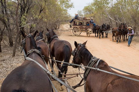 Cobb And Co Stagecoach Experience - Foster Accommodation 1