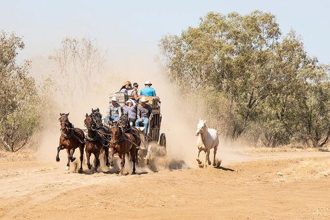 Cobb And Co Stagecoach Experience - Foster Accommodation 0