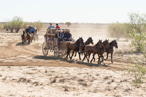 Cobb And Co Stagecoach Experience - Foster Accommodation 4